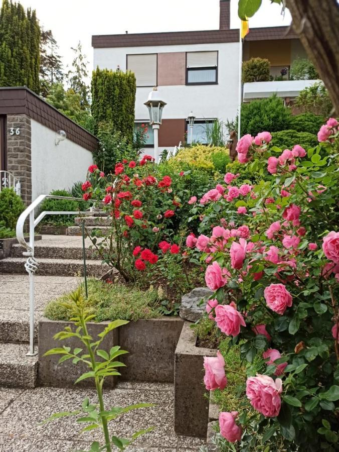 Apartments Gala, Ruhige Lage, Stadtnah Bad Kissingen Eksteriør billede