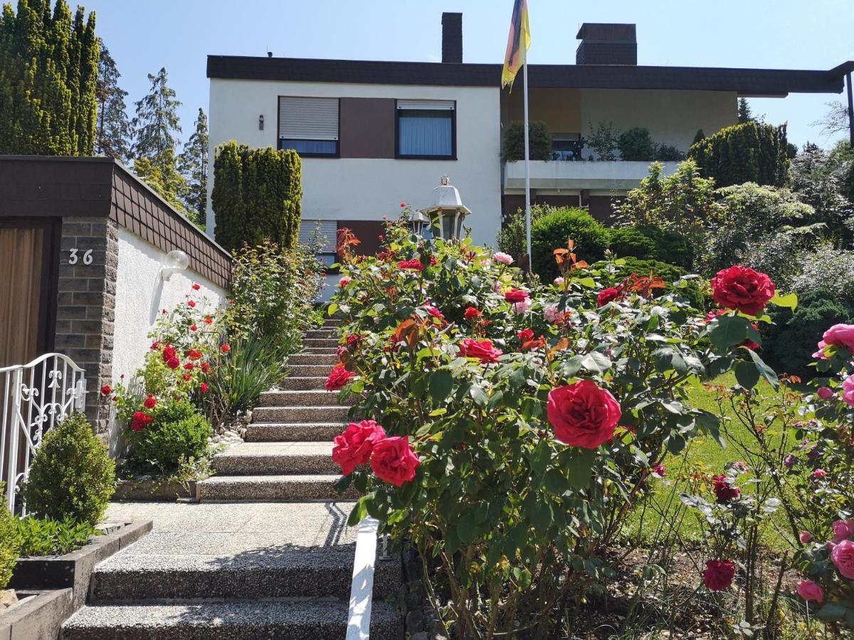 Apartments Gala, Ruhige Lage, Stadtnah Bad Kissingen Eksteriør billede